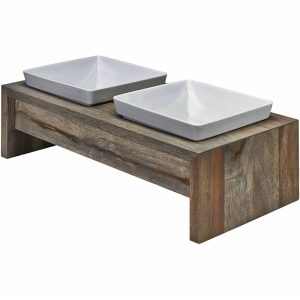 Bowl For Persian Cat