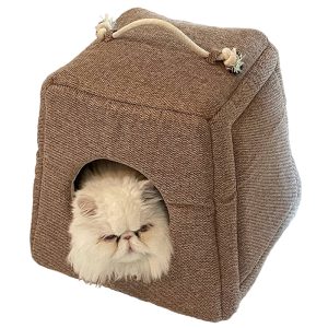 Buy Best Cat Bed