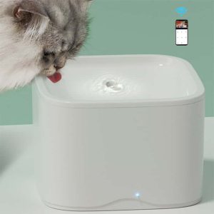 Cat Water Fontain