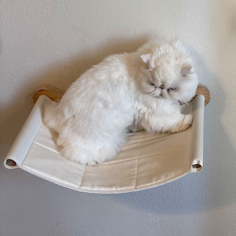 Persian Cat Hammock - PersianCat.shop Persian Cat Hammock